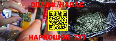 сатива Камышлов