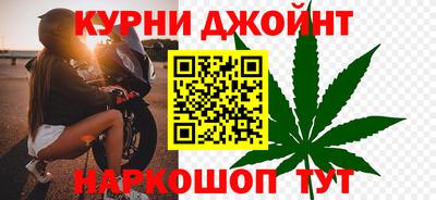 сатива Камышлов
