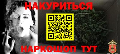 сатива Камышлов
