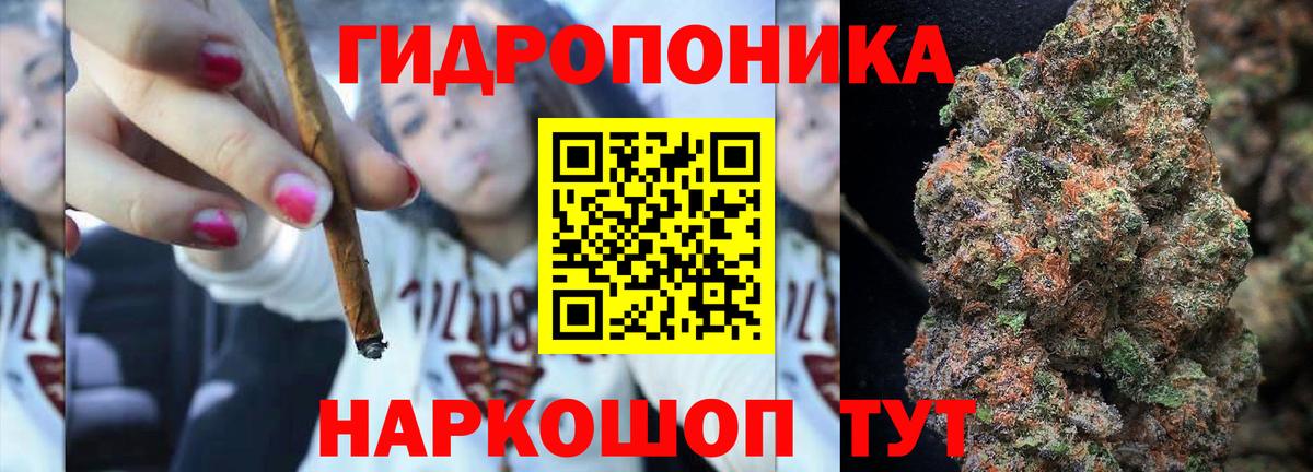 Конопля OG Kush  Вход с VPN  Краснодар  МАРИХУАНА конопля  Бошки Шишки LSD WEED  Канабис план 